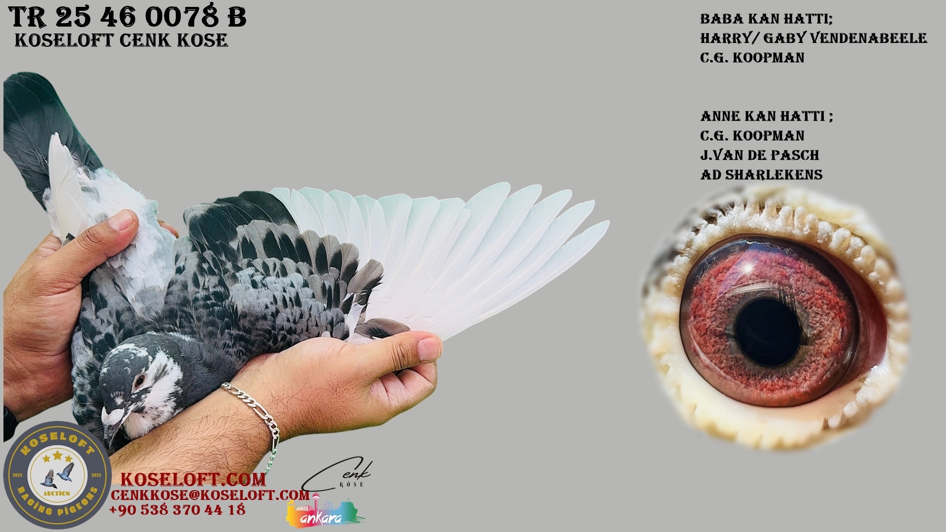 TR 25 46 0078 B ( AD SHARLEKENS / HARRY / GABY VENDENABEELE / J.VAN DE PASCH ) 