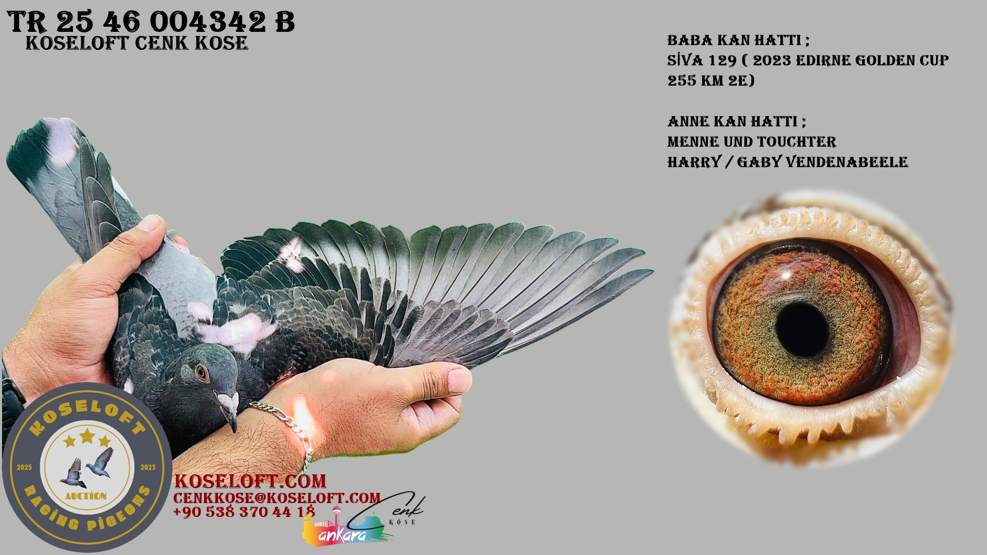 TR 25 46 004342 B ( SİVA 129 / MENNE UND TOCHTER) BABA ETAP KUPALI