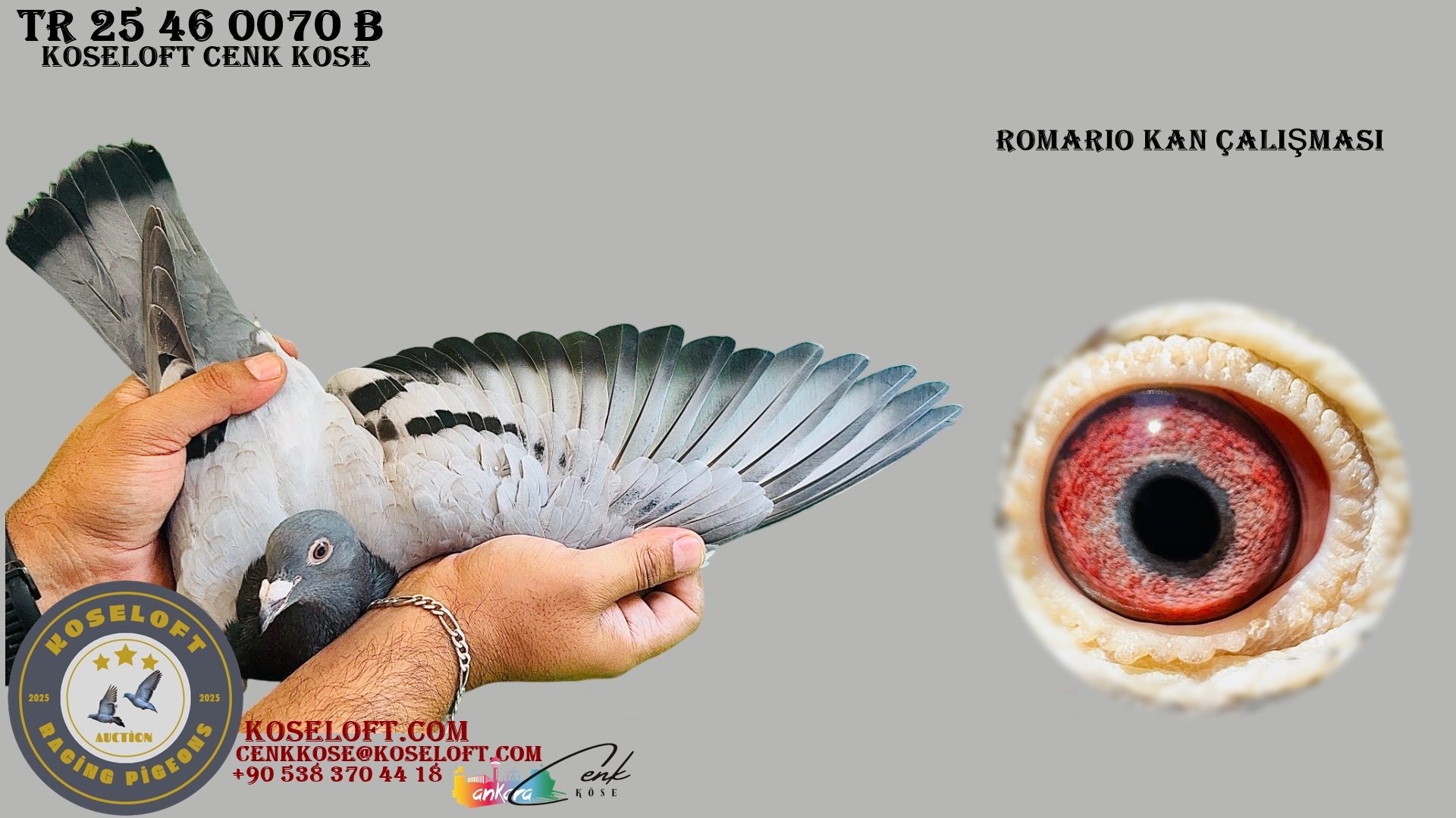 TR 25 46 0070 B ( ROMARIO / BREVHEART 1340 KAN ÇALIŞMASI) 