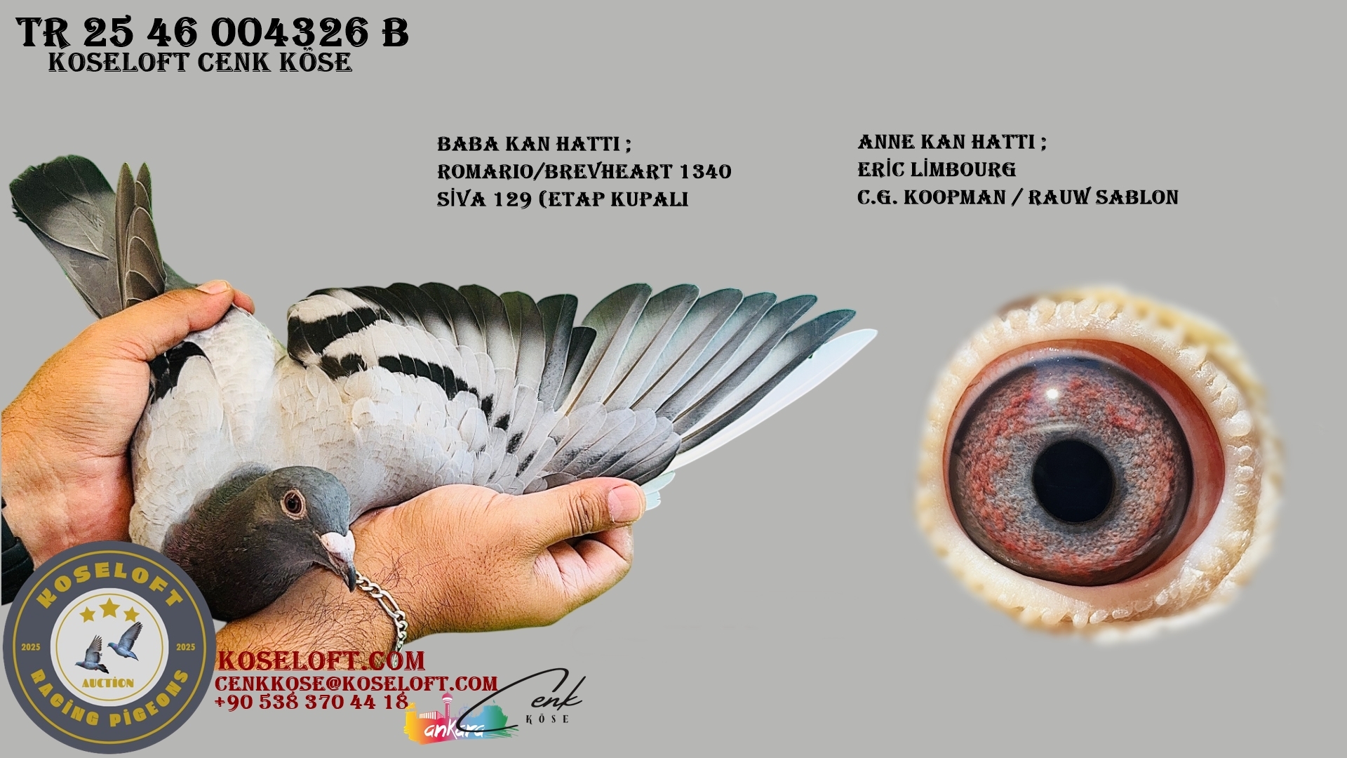 TR 25 46 004326 B (ROMARIO / BERVHERAT 1340 / SİVA 129 & ERİC LIMBOURG / RAUW SABLON / C.G. KOOPMAN)