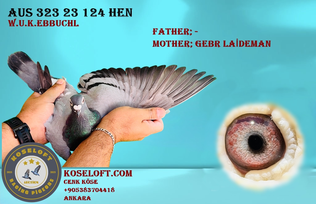 AUS 323 23 124 DİŞİ WALTER U.KARİN EBBUCHL