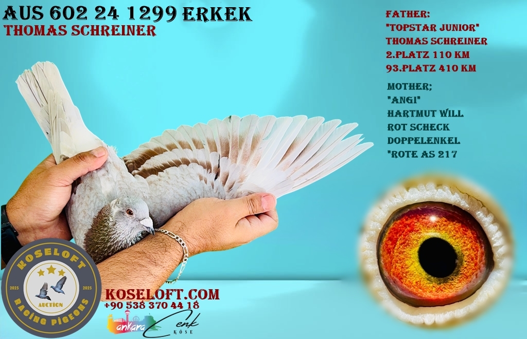 AUS 602 24 1299 ERKEK THOMAS SCHRAINER